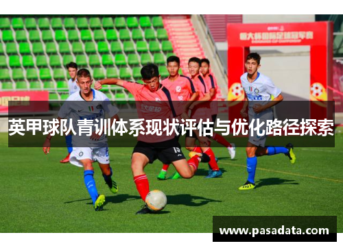 英甲球队青训体系现状评估与优化路径探索