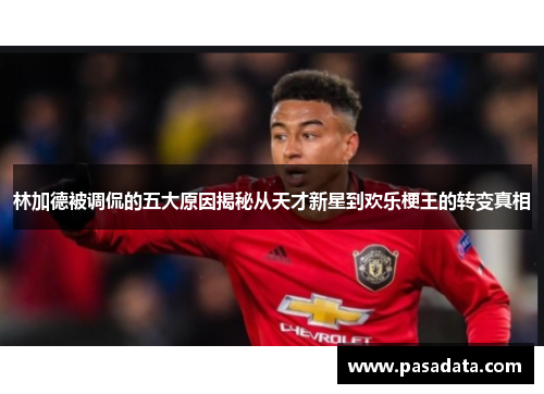 林加德被调侃的五大原因揭秘从天才新星到欢乐梗王的转变真相