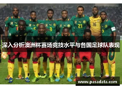 深入分析澳洲杯赛场竞技水平与各国足球队表现